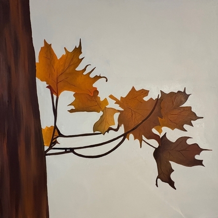 Maple Leaf