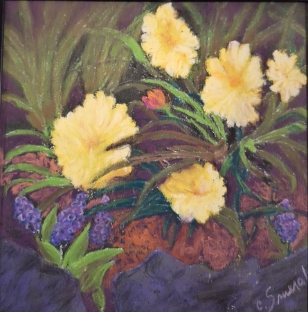 Spring Flowers