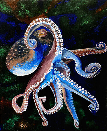 Octopus Obsession