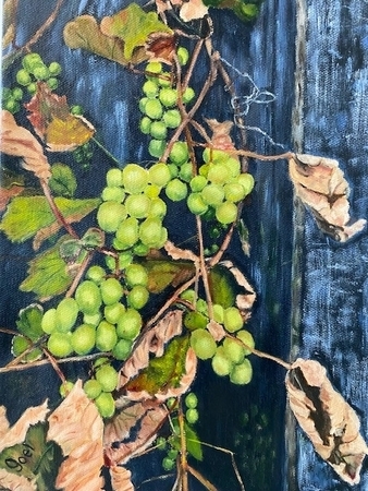 Grapes on the Vine