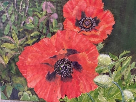 Pretty Poppies